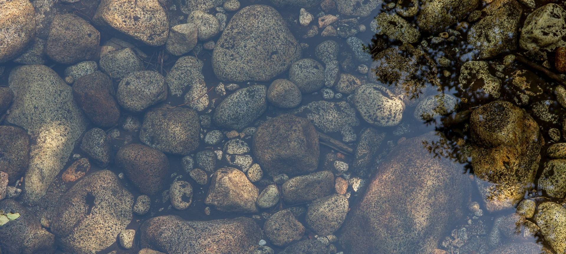 Düsseldorf: Stadt entschlammt Gewässer