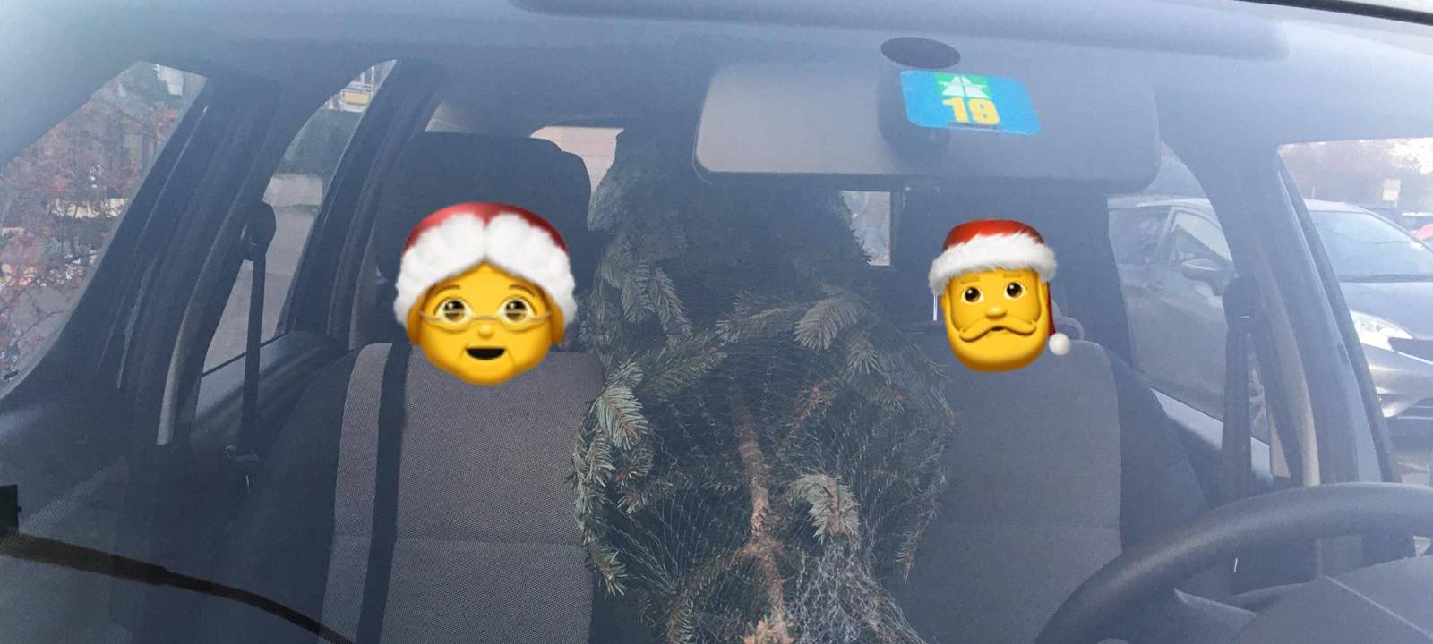 Tannenbaumkauf: Tipps vom Düsseldorfer ADAC