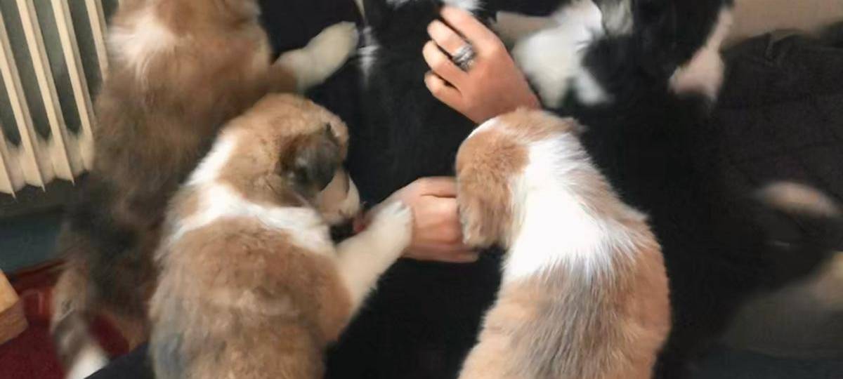 Tagebucheintrag vom 4. Februar 2021