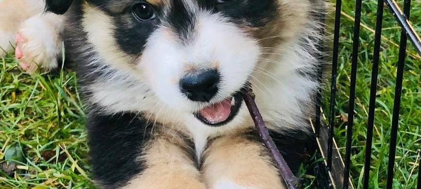 Tagebucheintrag vom 4. Februar 2021