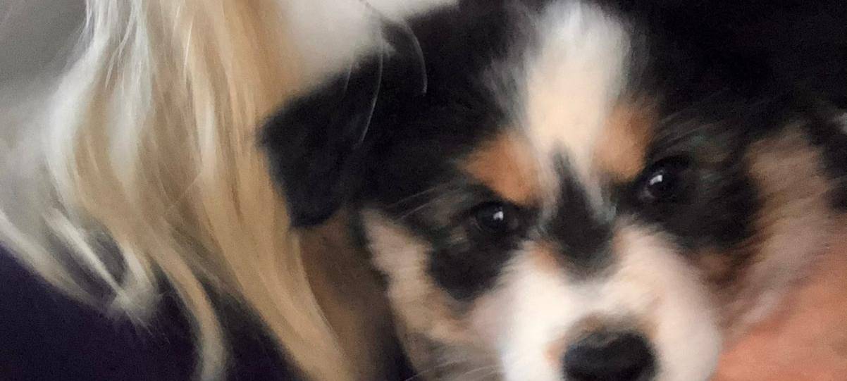 Tagebucheintrag vom 4. Februar 2021