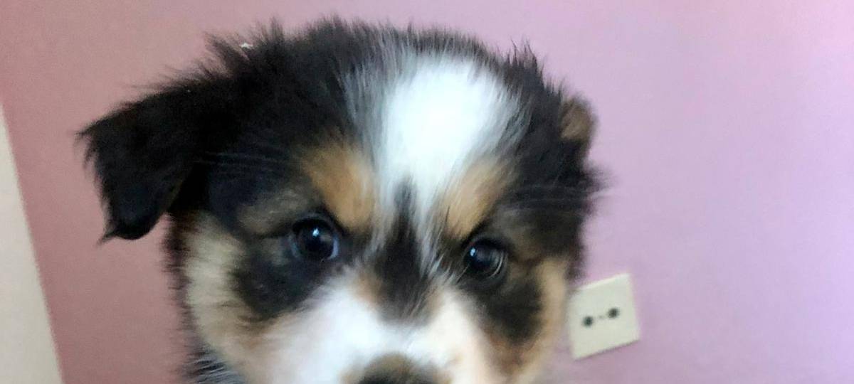 Tagebucheintrag vom 4. Februar 2021