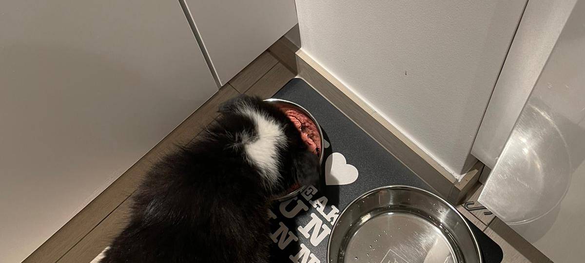 Claudia Monréal ist auf den Hund gekommen...