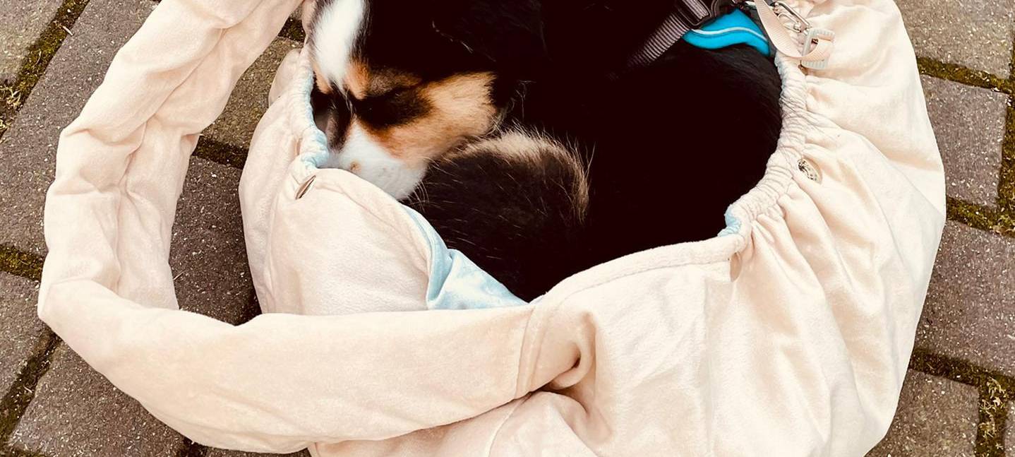 Tagebucheintrag vom 22. Februar 2021