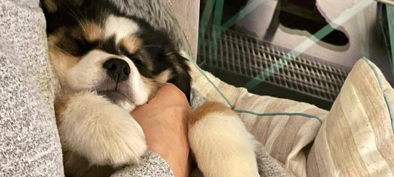 Tagebucheintrag vom 22. Februar 2021