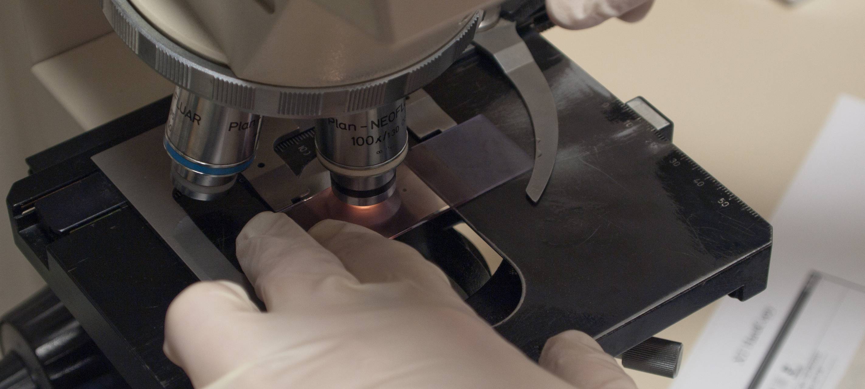 Coronavirus: Videobotschaft von OB Geisel