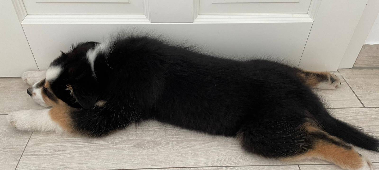 Tagebucheintrag vom 26. Februar 2021