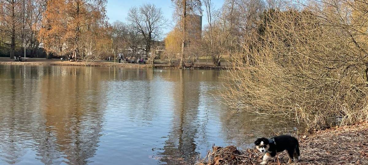 Tagebucheintrag vom 26. Februar 2021