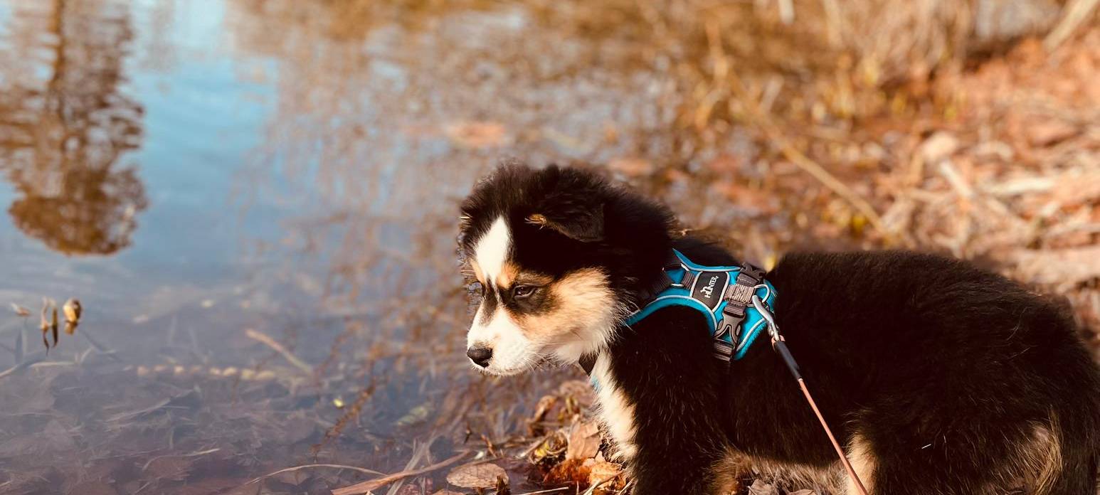 Tagebucheintrag vom 26. Februar 2021