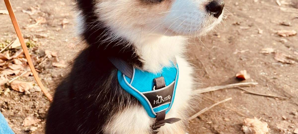 Tagebucheintrag vom 26. Februar 2021