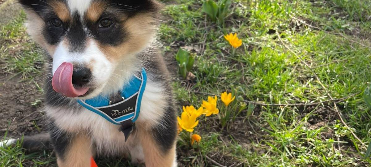 Tagebucheintrag vom 26. Februar 2021