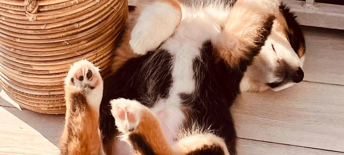 Tagebucheintrag vom 5. März 2021