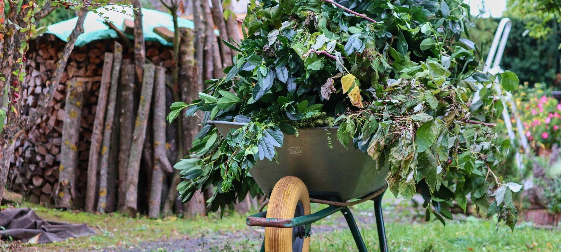 Düsseldorf: Regeln zum Grünschnitt beachten