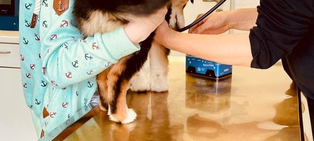 Tagebucheintrag vom 12. März 2021