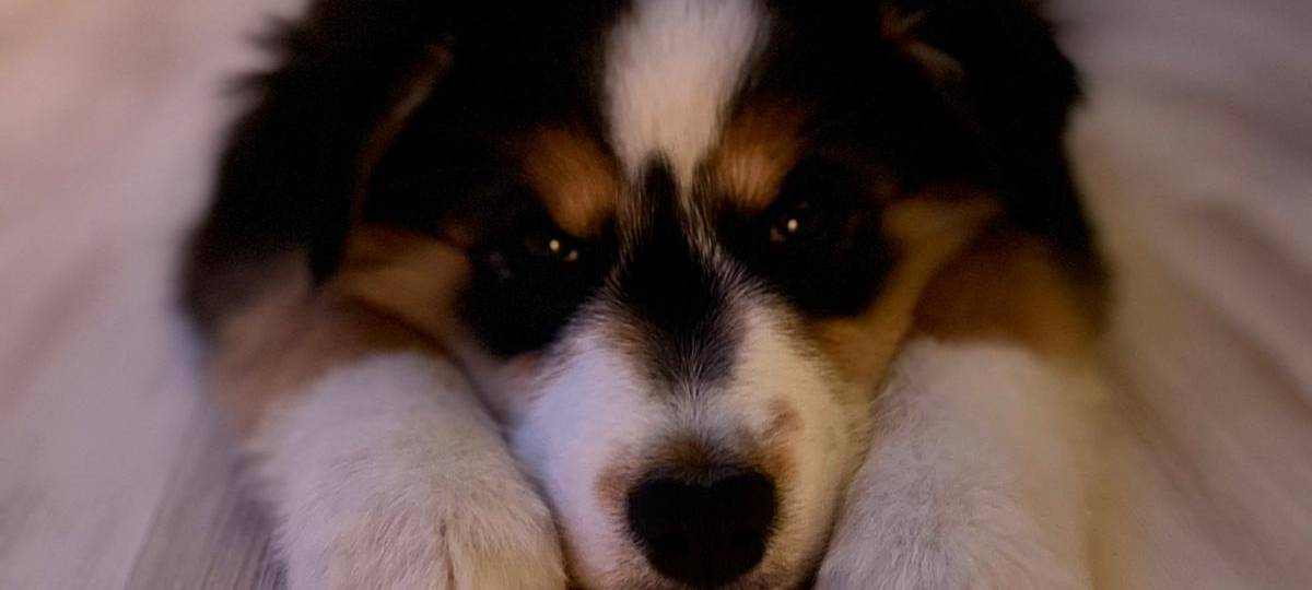 Tagebucheintrag vom 12. März 2021