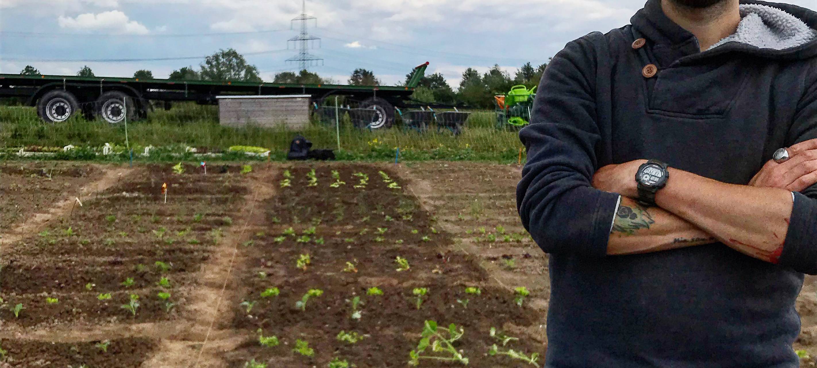 Düsseldorfer rettet Obst und Gemüse