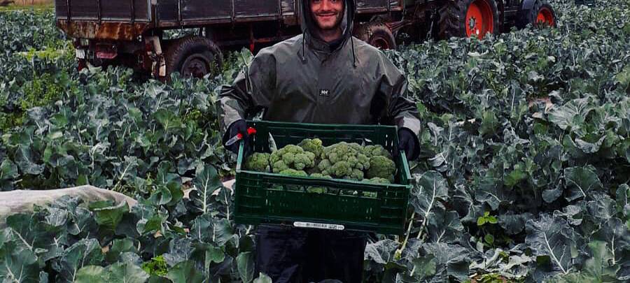 Düsseldorfer rettet Obst und Gemüse