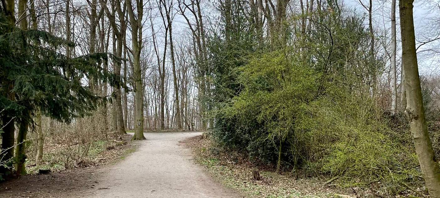 Tagebucheintrag vom 19. März 2021