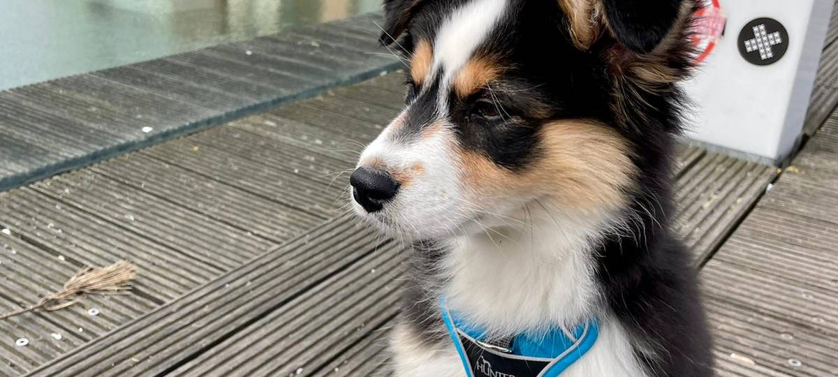 Tagebucheintrag vom 24. März 2021