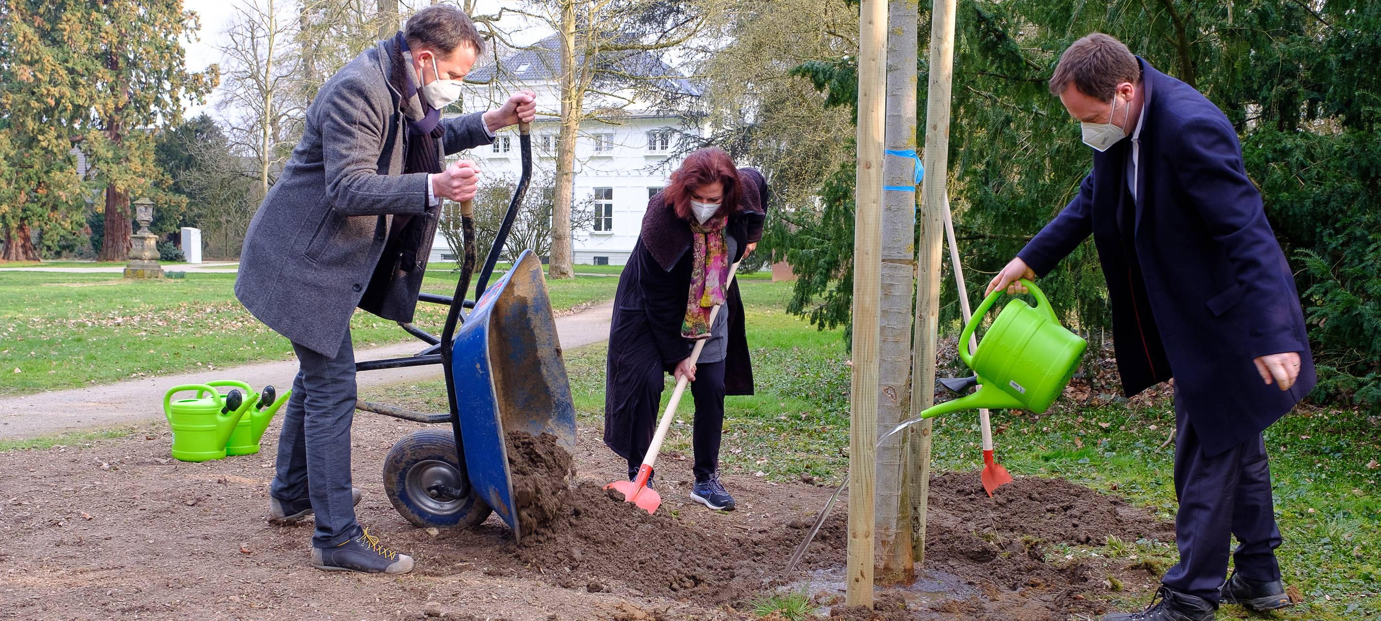 Düsseldorf um 13.000 Bäume reicher