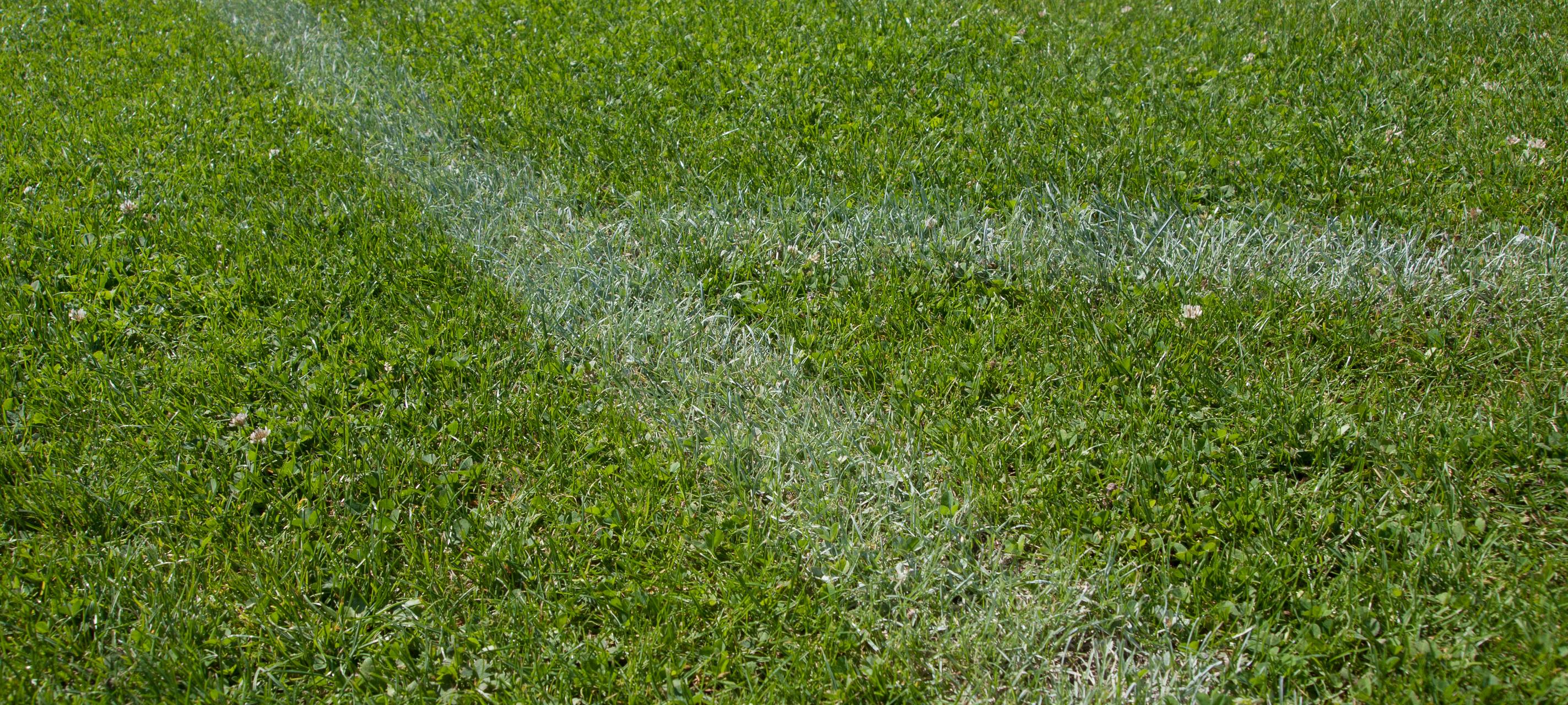 Public Viewing in Düsseldorf beim WM-Spiel gegen Costa Rica