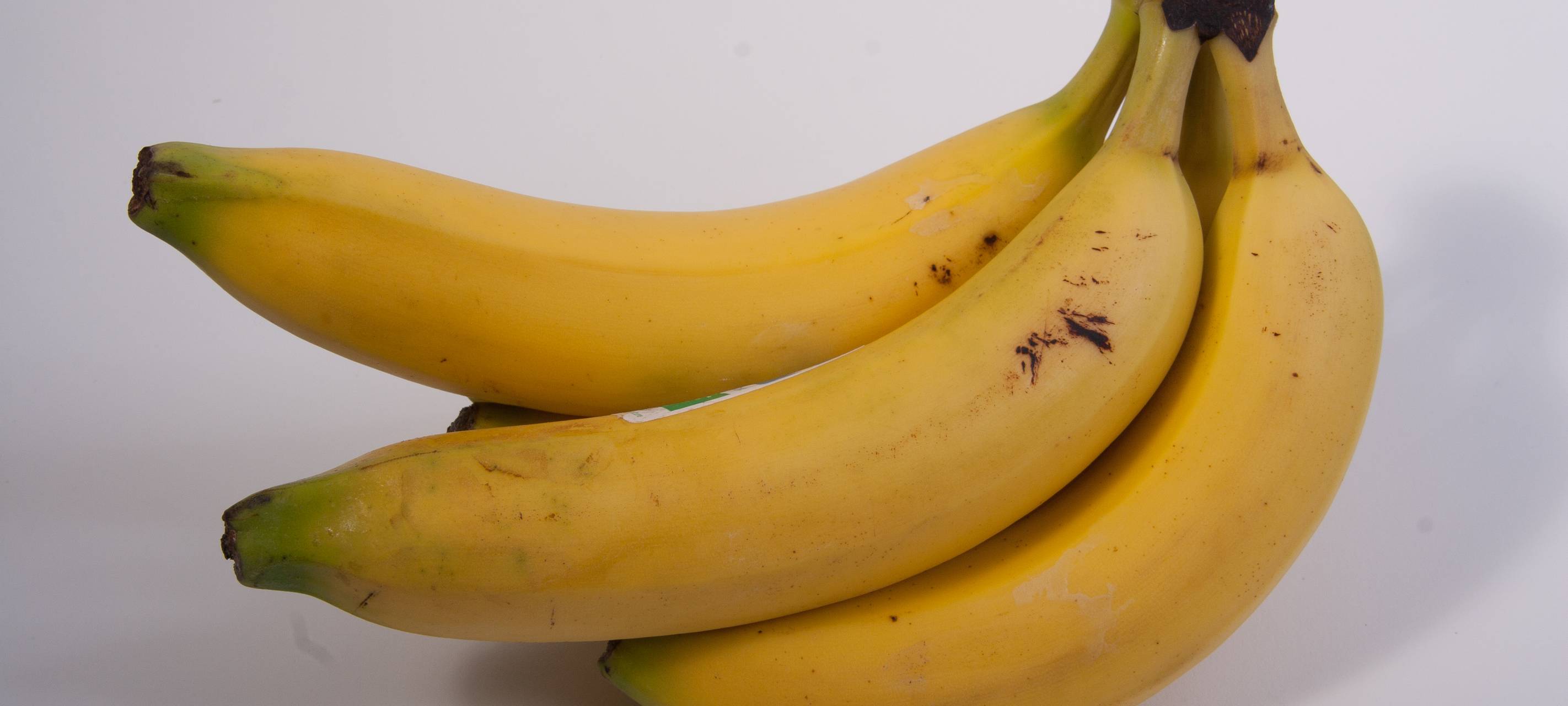 Faktencheck: Schreibt die EU den Krümmungsgrad vor?