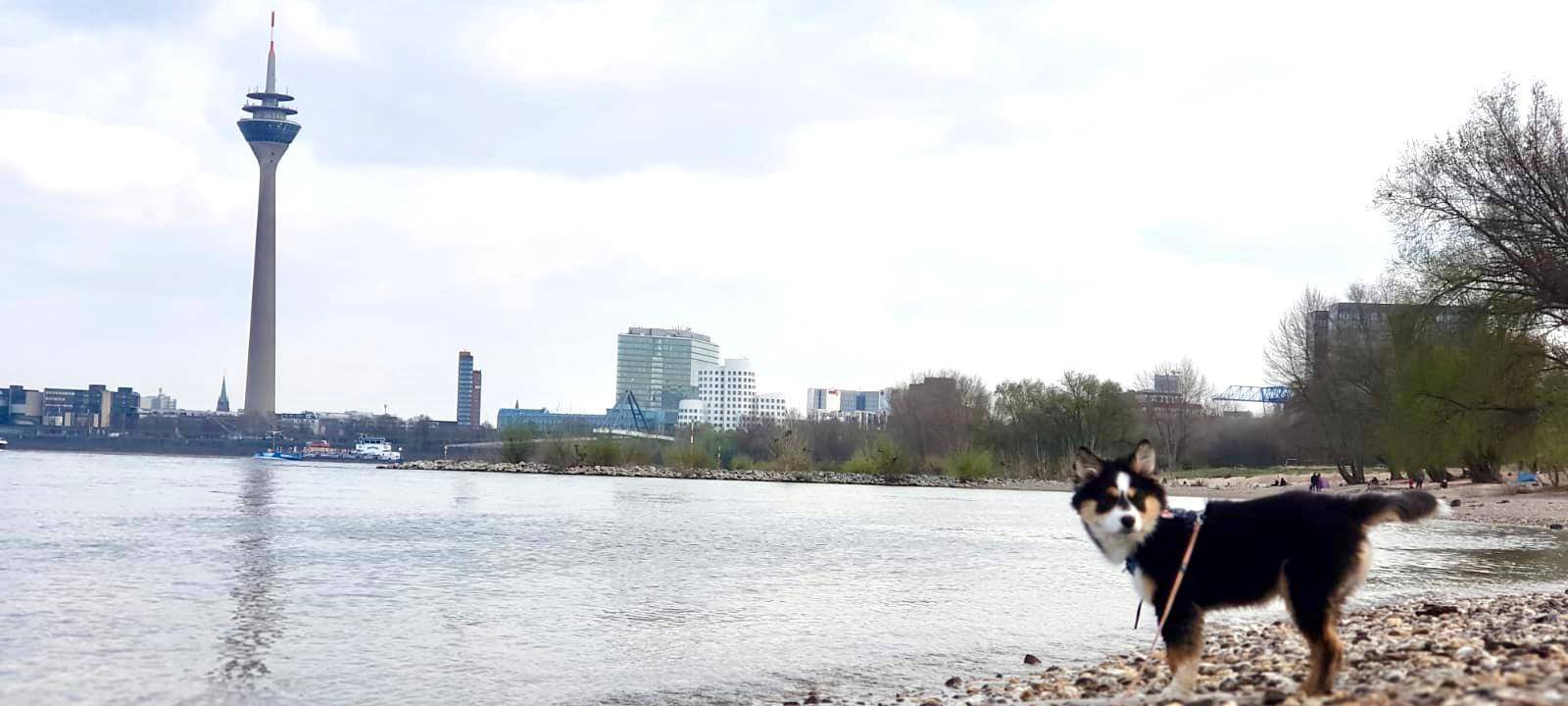 Tagebucheintrag vom 5. April 2021