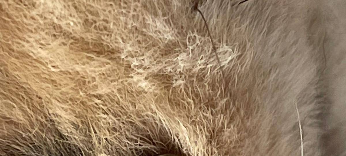 Tagebucheintrag vom 5. April 2021