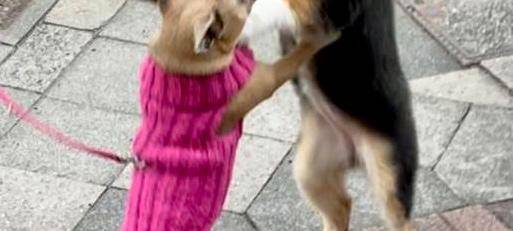 Tagebucheintrag vom 12. April 2021