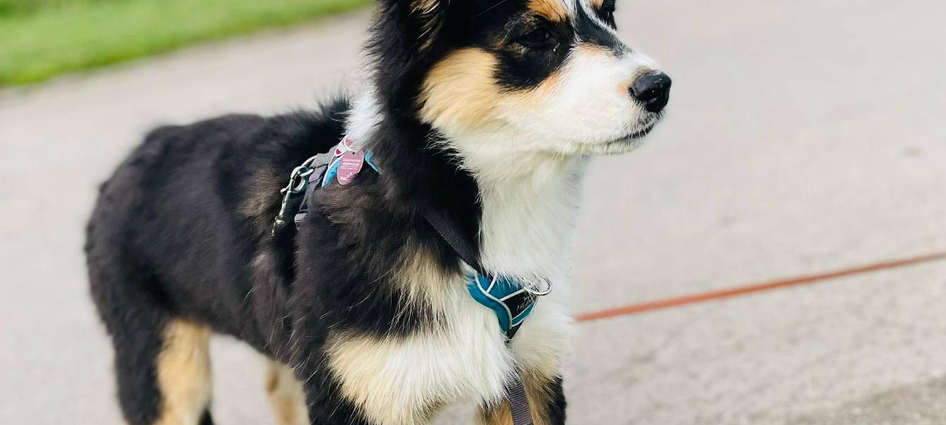 Tagebucheintrag vom 12. April 2021