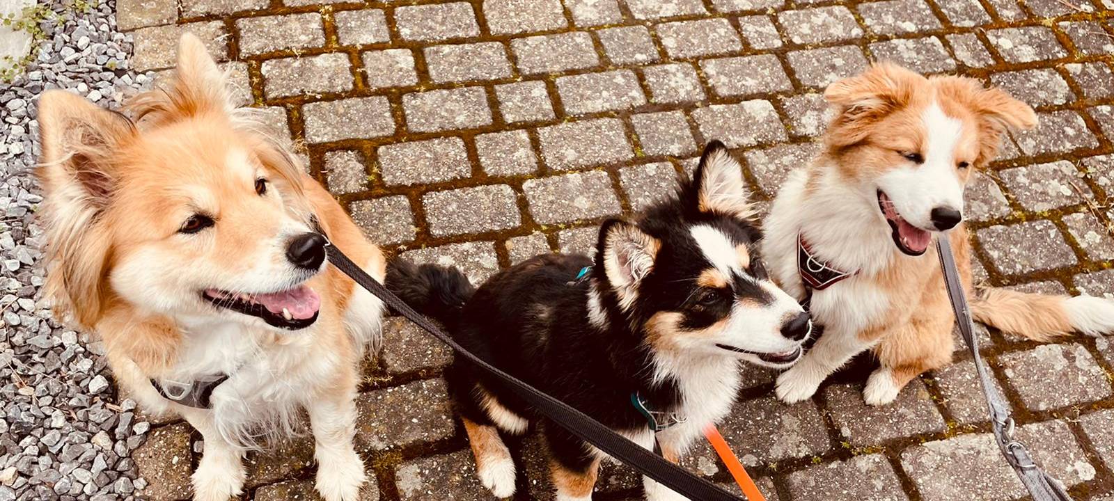 Tagebucheintrag vom 23. April 2021