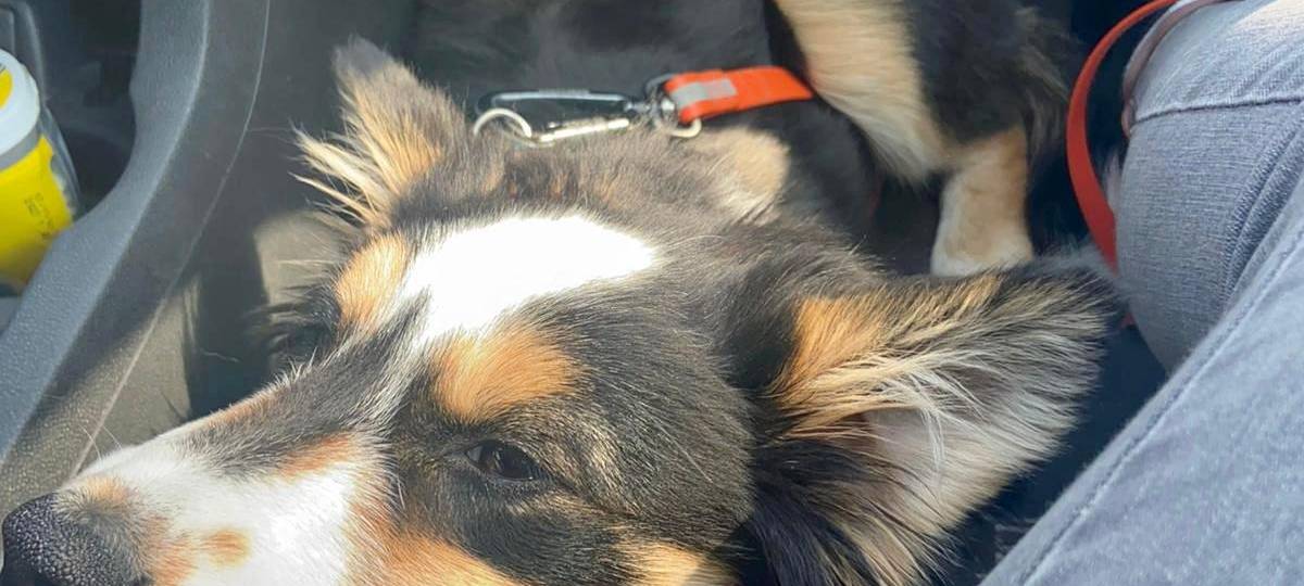 Tagebucheintrag vom 23. April 2021