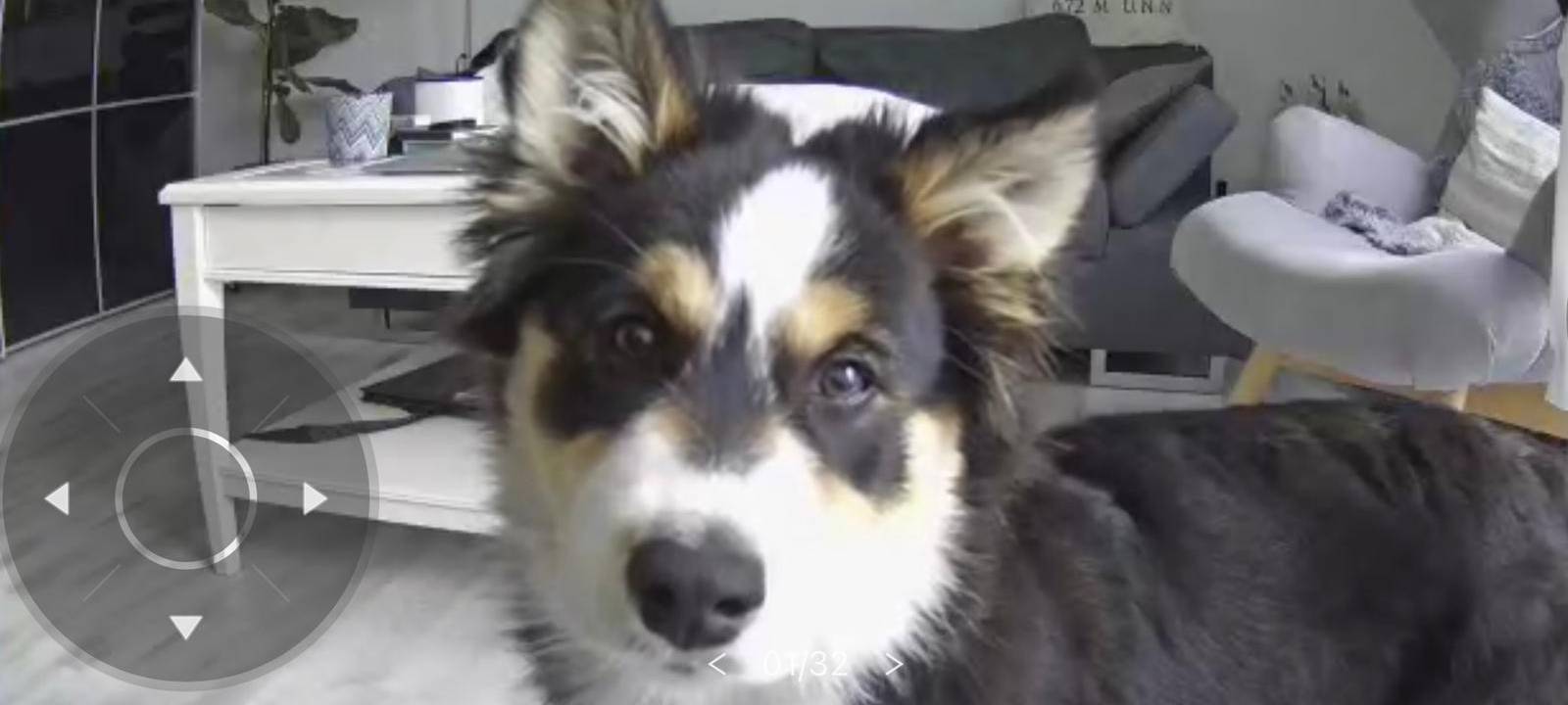 Tagebucheintrag vom 28. Mai 2021