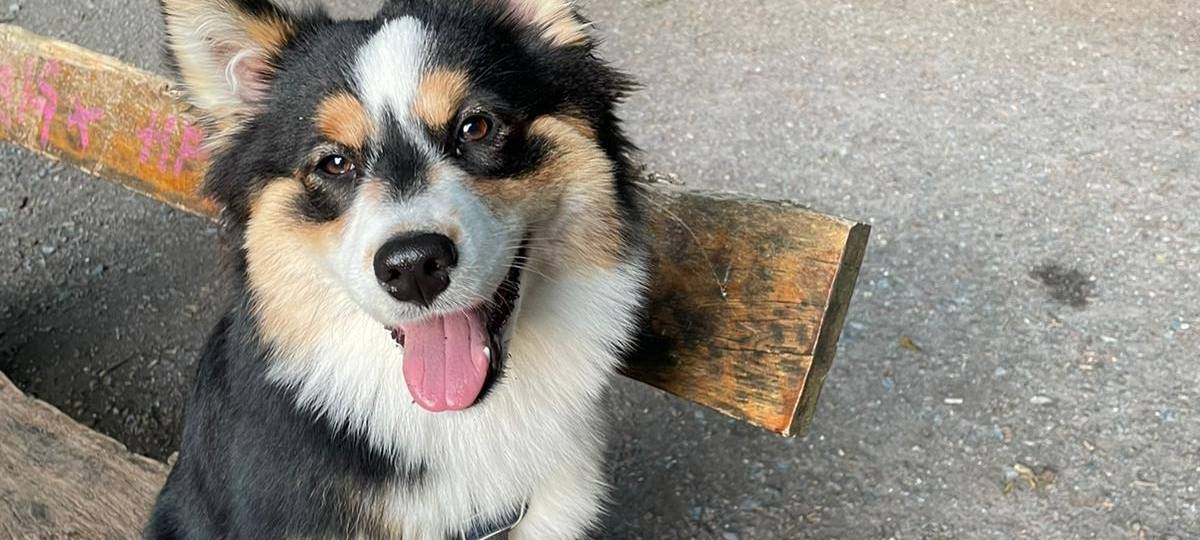 Tagebucheintrag vom 25. Juni 2021