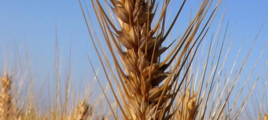 Tagebucheintrag vom 25. Juni 2021