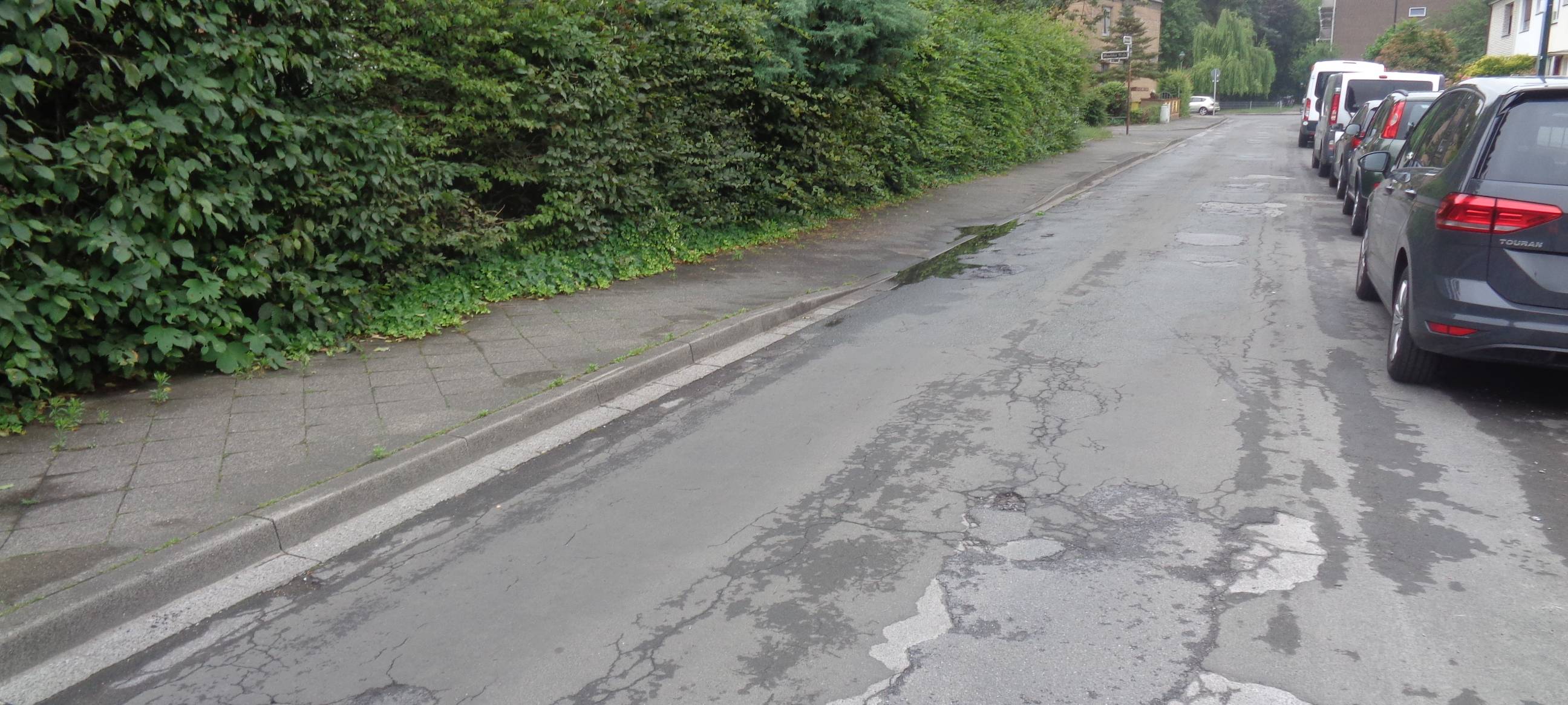 Weniger Versiegelung in Düsseldorf gewünscht