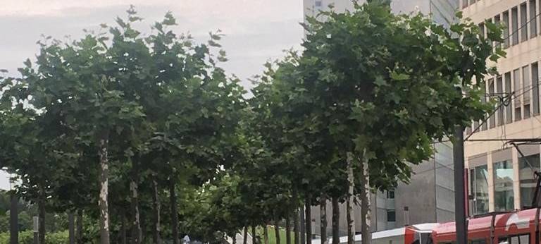 Düsseldorf: Wehrhahnlinie evakuiert