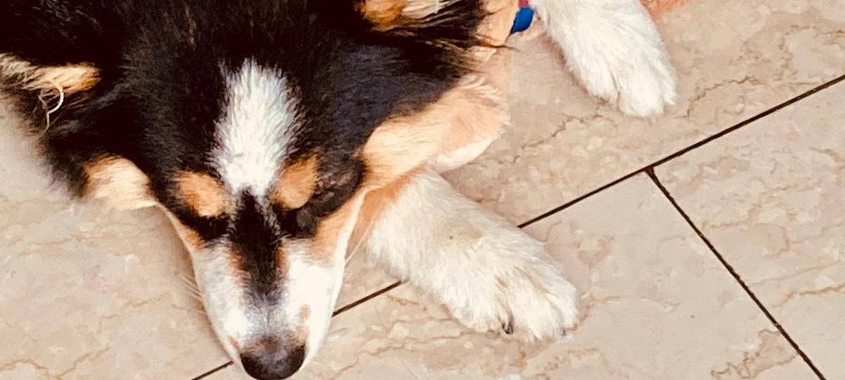 Tagebucheintrag vom 14. Juli 2021