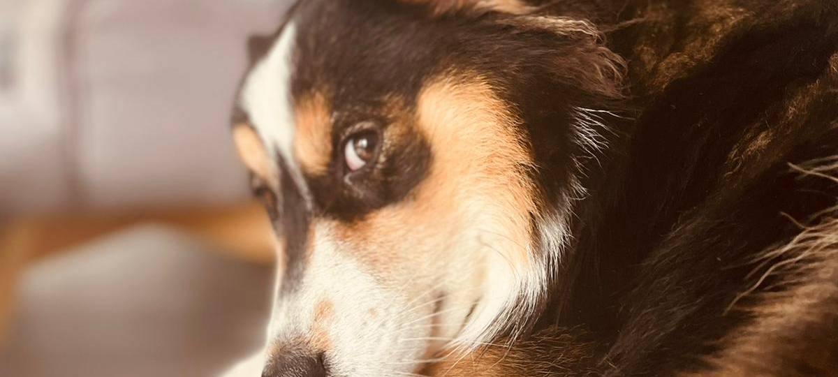 Tagebucheintrag vom 30. Juli 2021