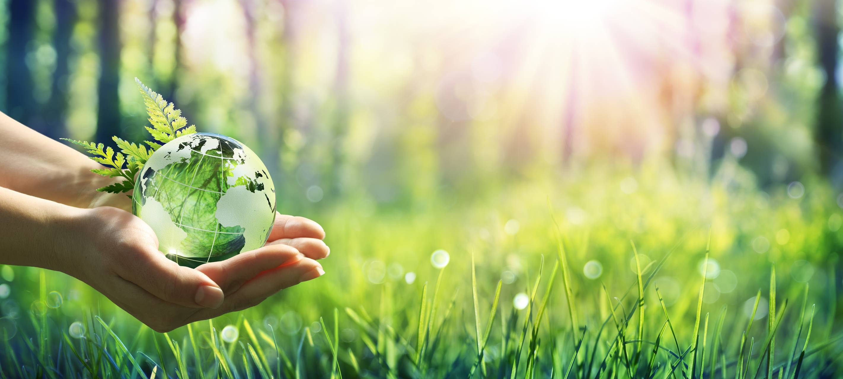 Faktencheck: Setzen Vulkane mehr CO2 frei als der Mensch?