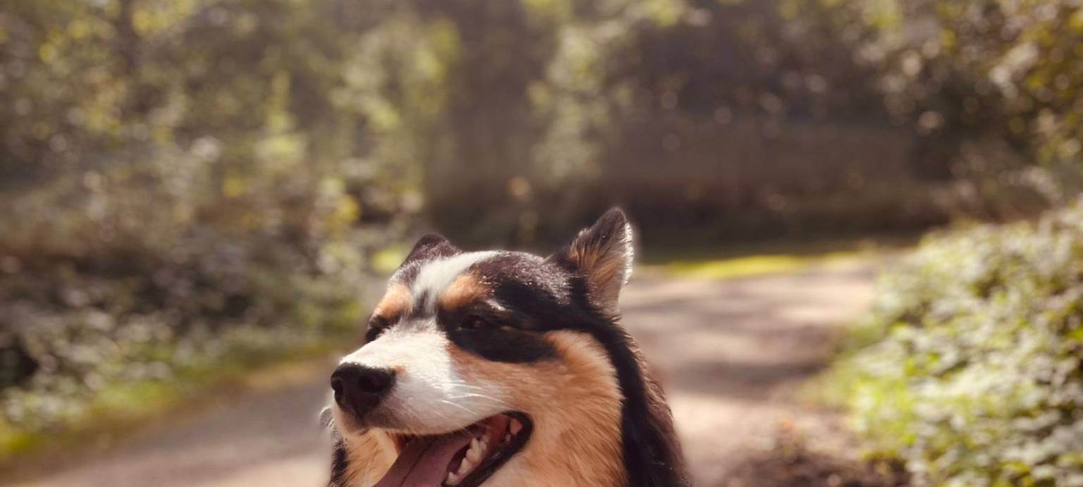 Tagebucheintrag vom 31. August 2021