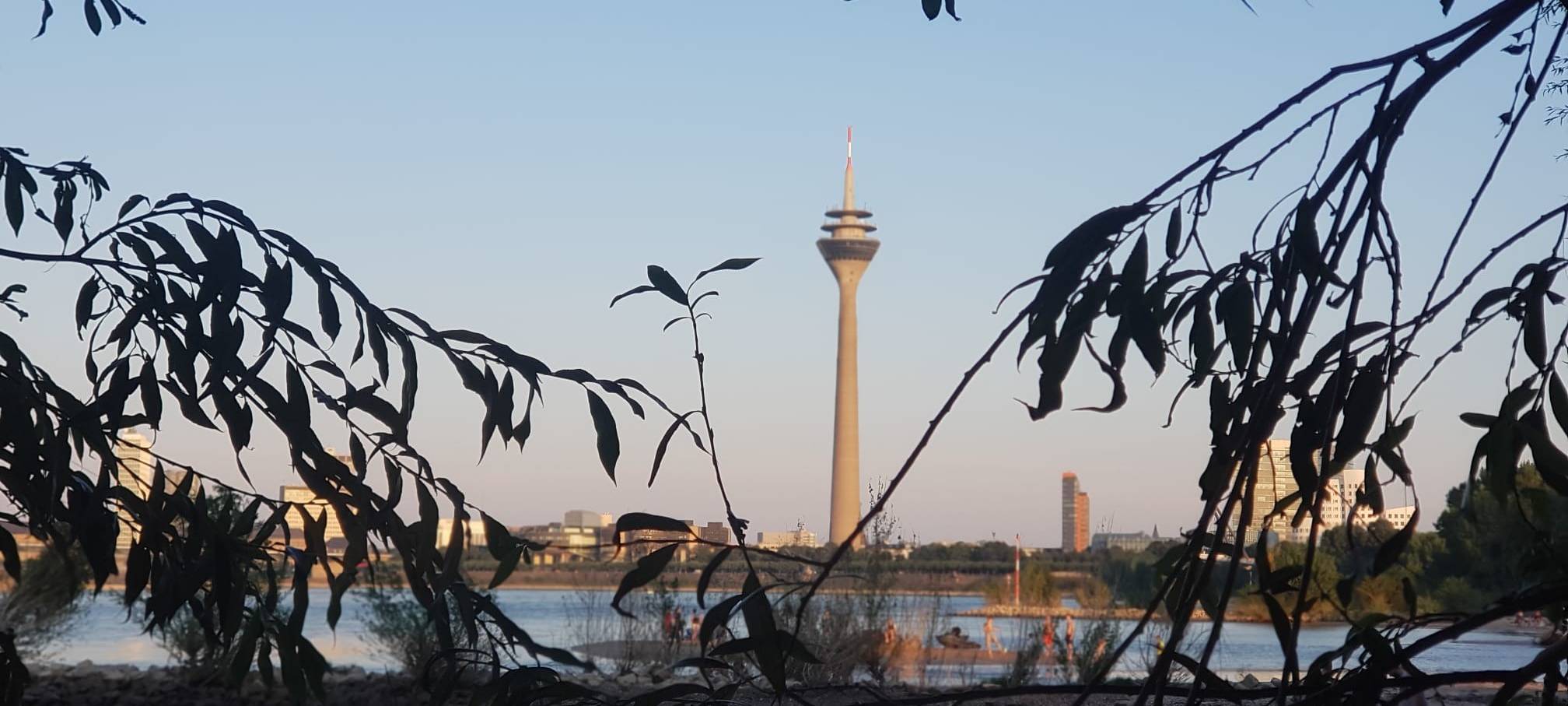 Neue Stadtführungen in Düsseldorf