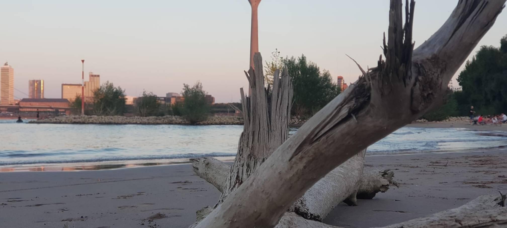 Der Paradiesstrand am Rhein. Im Hintergrund reckt sich der Rheinturm in die Höhe.