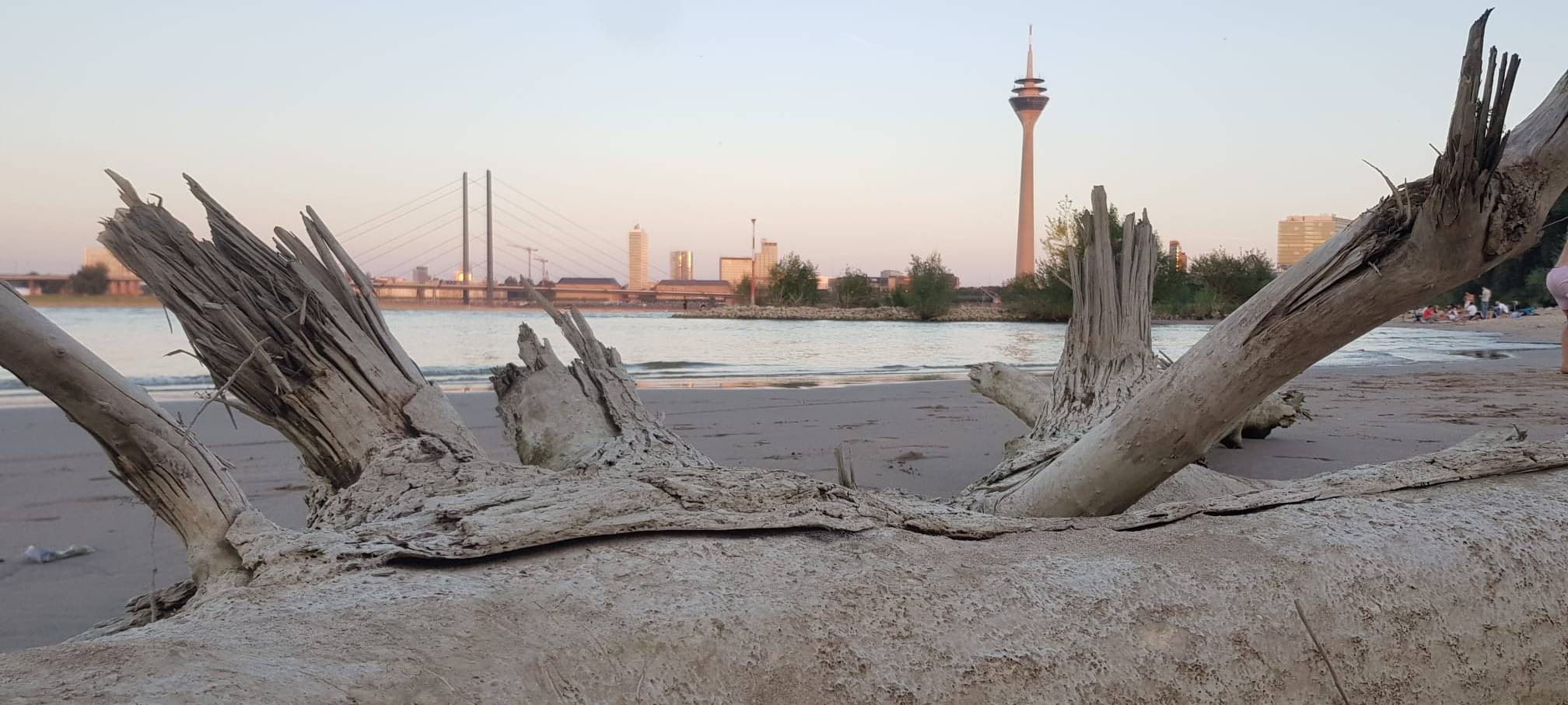 Der Paradiesstrand am Rhein in Düsseldorf.