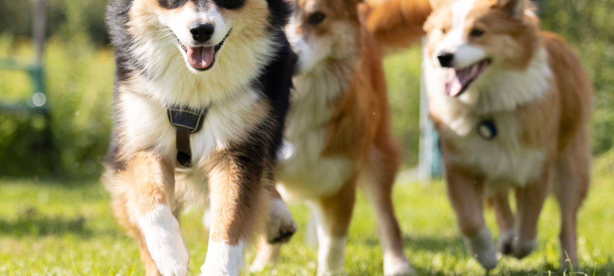 Tagebucheintrag vom 14. September 2021