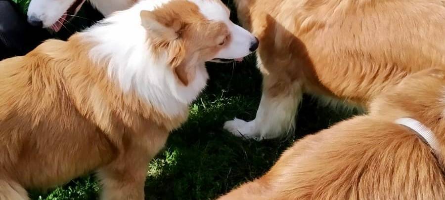 Tagebucheintrag vom 14. September 2021