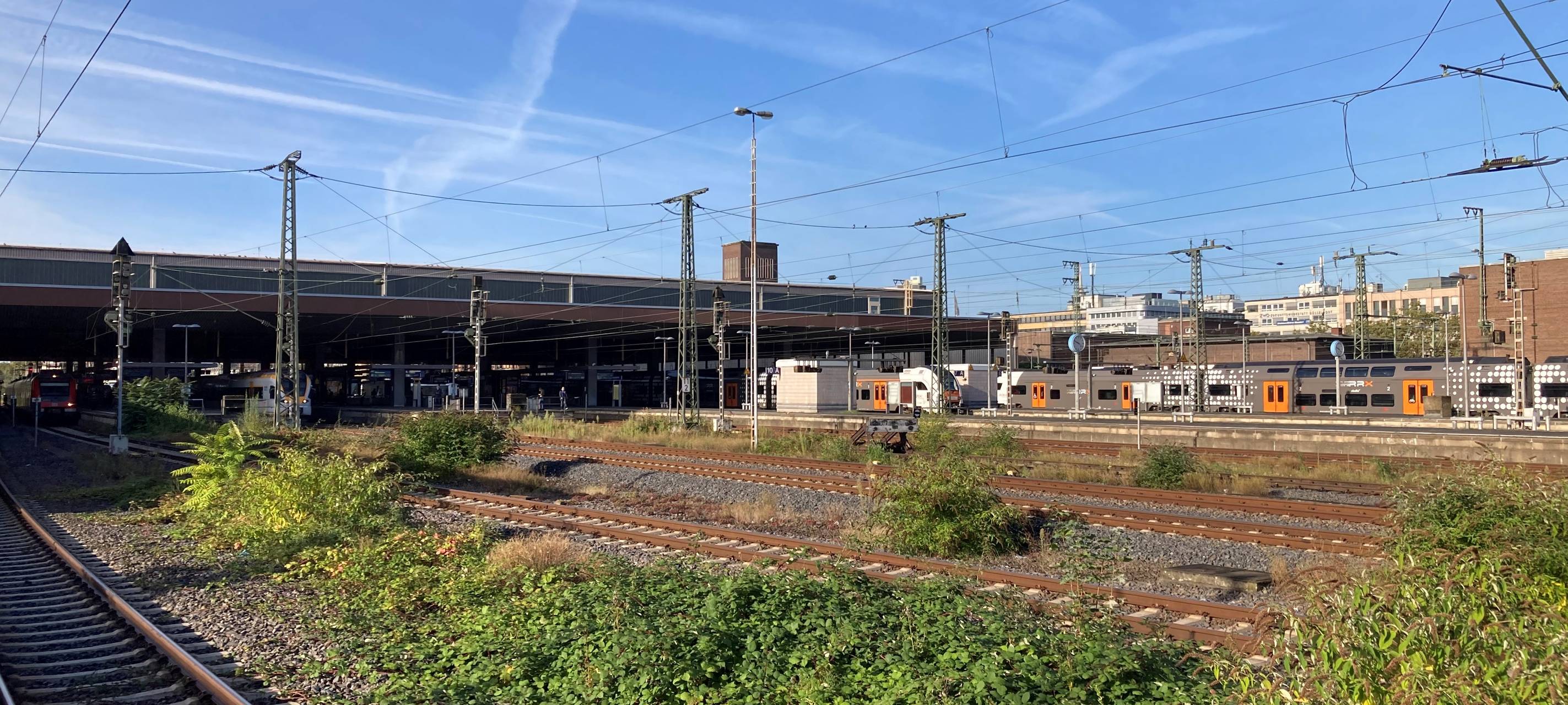 Der Düsseldorfer Hauptbahnhof mit etwas grüner Bepflanzung im Vordergrund.