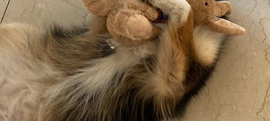 Tagebucheintrag vom 10. Oktober 2021