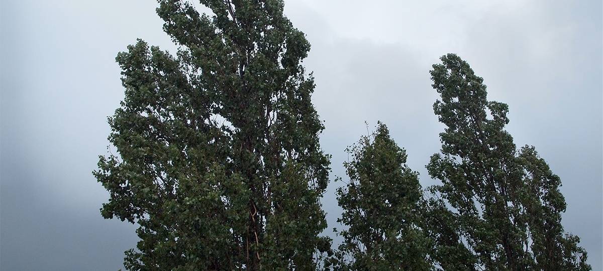 Sturmwarnung für Düsseldorf