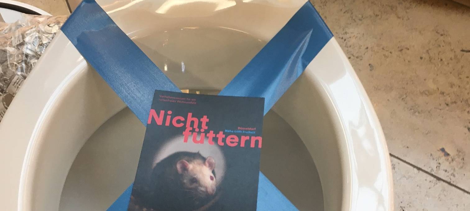 Düsseldorf: "Nur der Po gehört auf's Klo"